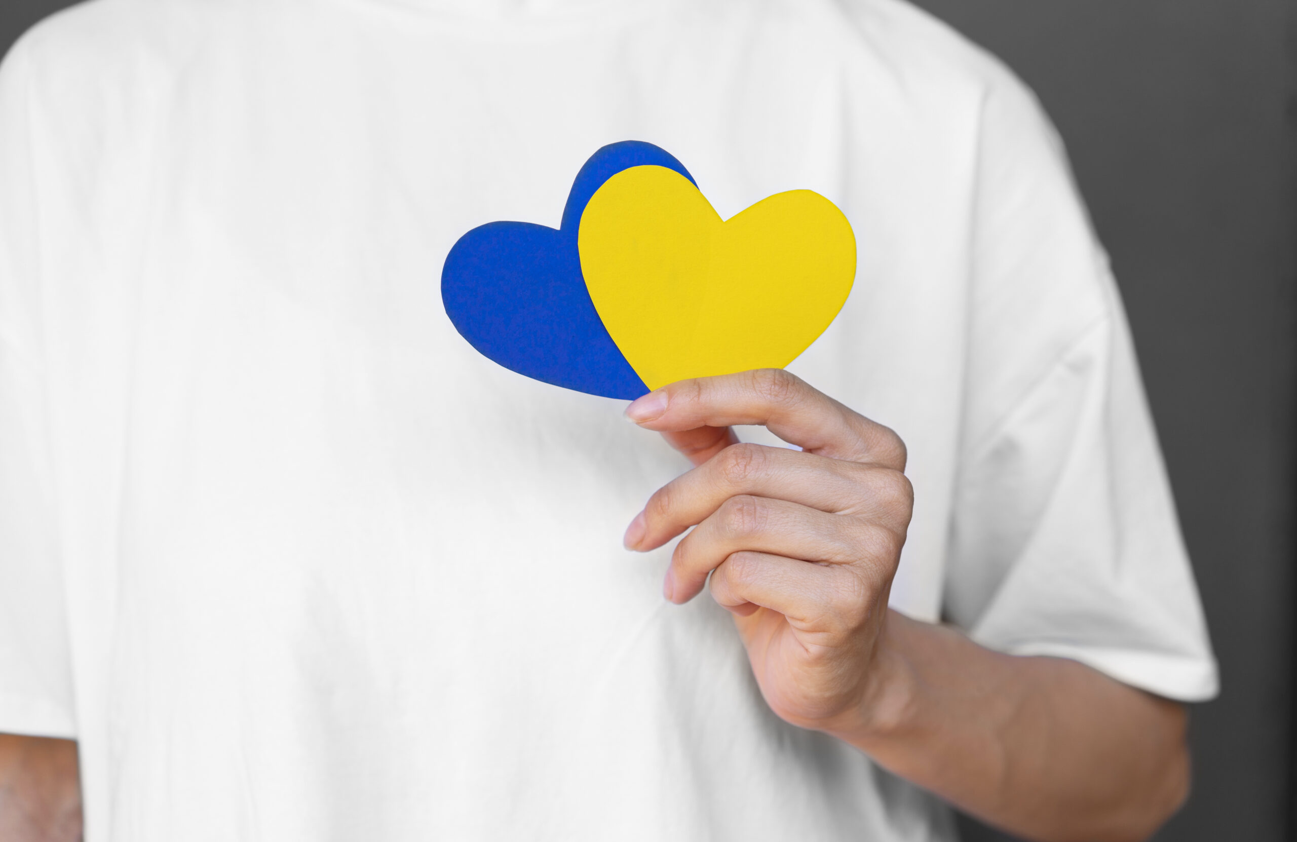 Zbliżenie na dłoń trzymającą 2 serca z papieru w kolorze żółtym i niebieskiem na tle białej koszulki