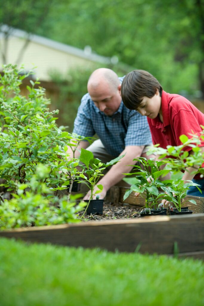 Po prawej stronie zdjęcia mężczyzna w niebieskiej koszuli i nastolatek w czerwonym t-shircie kucają razem przy ogrodowej grządce. Mężczyzna wyciąga ręce i sadzi roślinę, nastolatek pomaga mu.